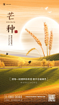6.6芒种主题宣传合成风海报