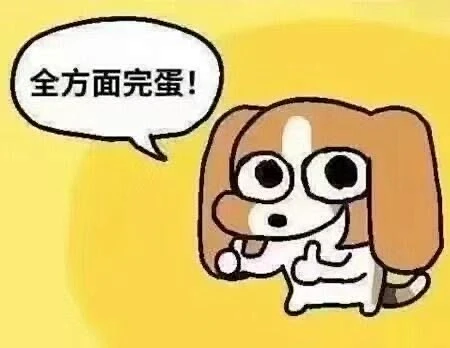比格多栋-花瓣网