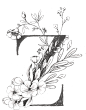 唯美手绘素描天鹅花卉植物字母婚礼请柬卡片装饰元素免扣PNG图案 (201)