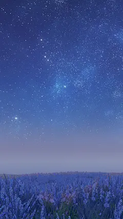 我自己的手机用的就是这个壁纸O(∩_∩)O
很喜欢星茸花海的夜空