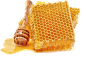 蜂巢