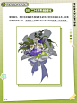 【绘画教程】二次元插画日系花束画法分享