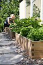 Raised beds for a vegetable garden.