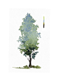 海报素材 手绘 植物 树