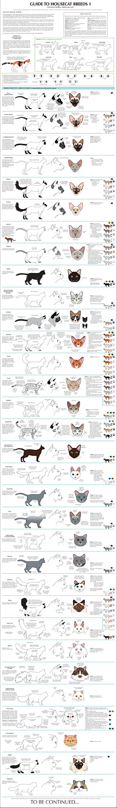 七月山猫采集到杂七杂八