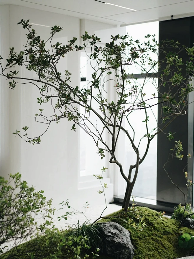 室内植物造景｜青岛海岛春花组合景观-花瓣网