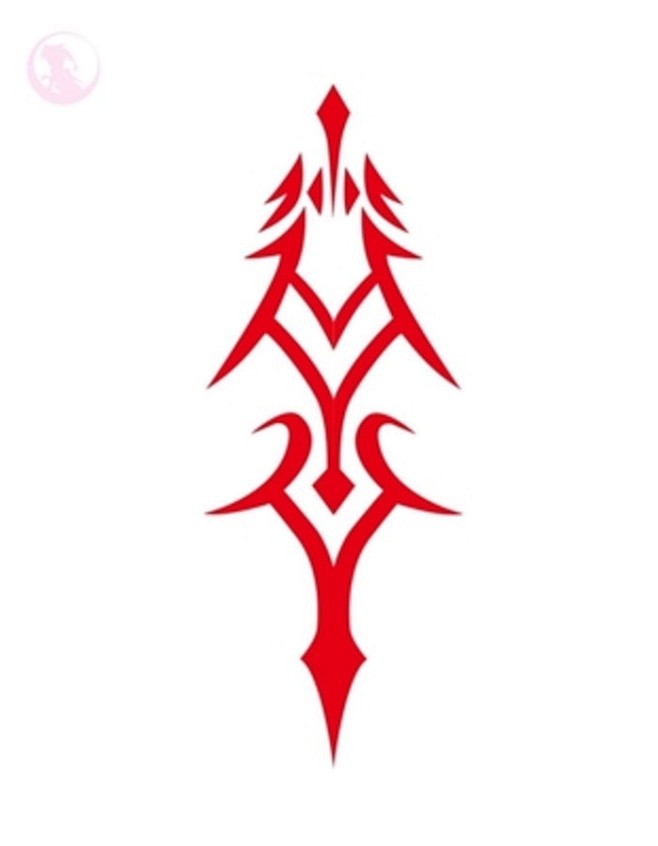 fate zero 令咒 Berserk...