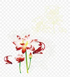 荷花 花 中国风 中秋节 古典 古色古香 中秋 水墨鱼 水墨荷花 水墨 