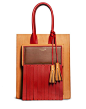 Piers Tan Tote by Acne: 