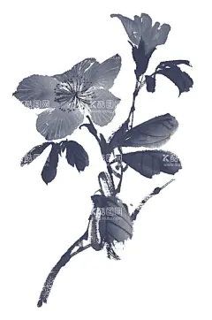 百花争艳   - 源文件下载【酷图网】百花争艳,国画百花争艳,国画,花鸟画,花,水墨画,花朵,红花,手绘花朵,手绘花,水墨画花,抽象花,工笔画,月季,牡丹,水墨荷花,