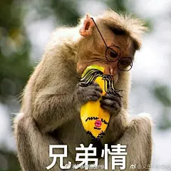 镇魂表情包合集，会迟到但不会缺席！！！
