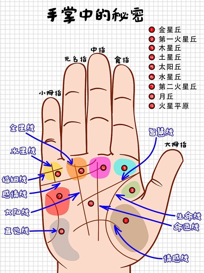 手掌中的中医知识，三图看懂 (2)