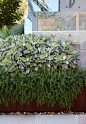 Bronte House By Edwina Withers And Justin Long Design Project Feature The Local Project Image 50