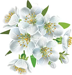 花卉    - 源文件下载【酷图网】花卉,花朵,樱花,花瓣,粉色花,桃花免扣,小清新,樱花免扣,春天,桃花,梨花,樱花背景,樱花盛开,花草,浪漫,情人节,芳香,盛开,花朵卡通图片,手绘樱花,花朵背景,樱花素材,唯美素材,唯美樱花,粉色,唯美,古典花纹,手绘梅花,腊梅,红梅,梅花图片