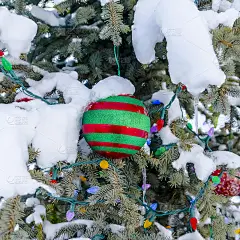 喜庆的户外圣诞树上覆盖着雪花