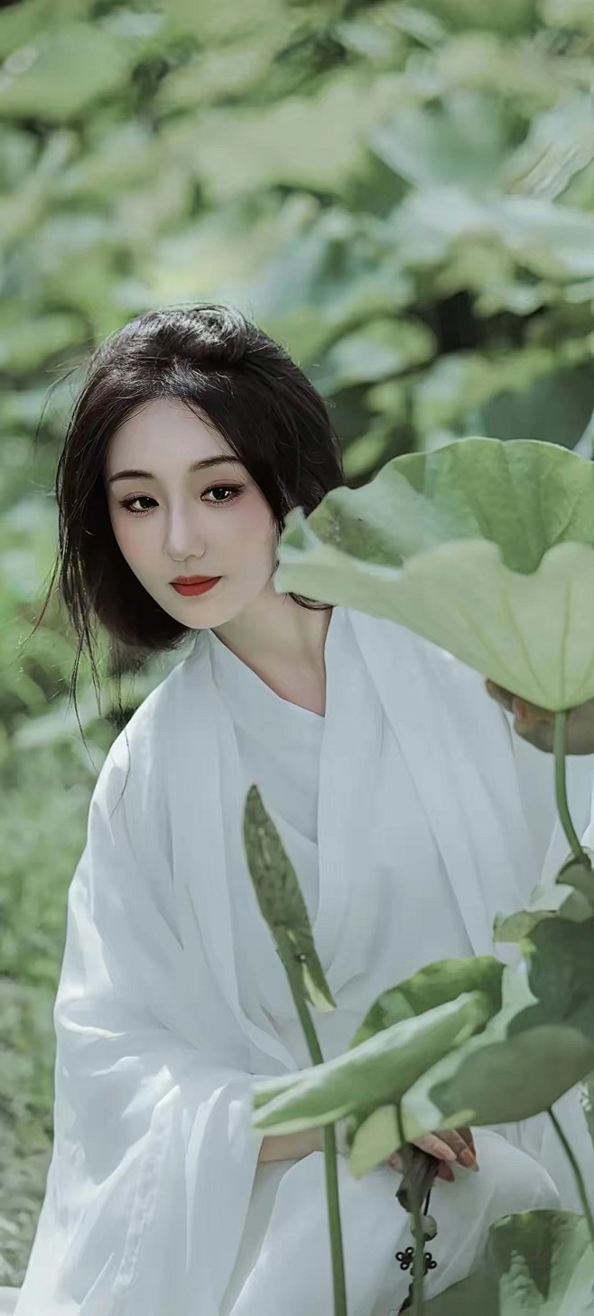 落花不解伊人苦，谁又怜惜伊人情。空伤悲，...