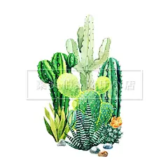 精品手绘油墨水彩绿植仙人掌仙人球盆栽花卉花店海报贺卡矢量素材-淘宝网