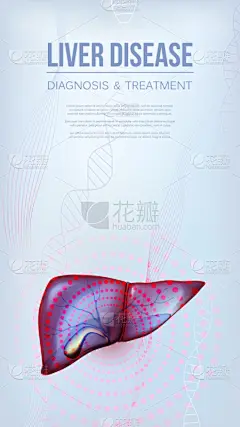 肝脏,垂直画幅,传媒,胆囊,健康保健,背景分离,药,癌症,肝炎,市场营销
