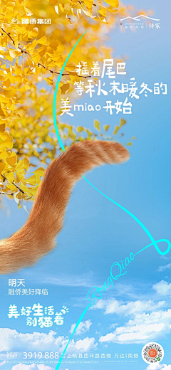 喵仙人721采集到新