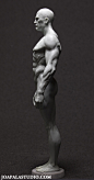 Mr Grey, Joaquin Palacios : I sculpted this anatomy some time ago for Miniature Mentor but never was produced, since then, I’ve used it as reference for a lot of the figures I’ve sculpted and it helps me a lot, and now, thanks to Miniature Mentor I can sh