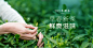 2021春茶节首页-芳羽安吉白茶自营店-淘宝网