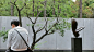 静安雕塑公园 / 园影景观摄影工作室 – mooool木藕设计网