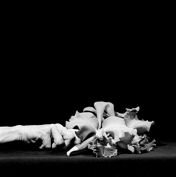 Robert Mapplethorpe（...