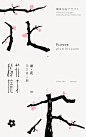 文字图形-平面-美叶
