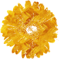 flower_and_leave-_03