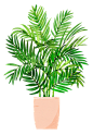 春天春季盆栽植物鲜花免抠素材_PNG：