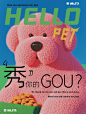 南昌｜我们主张宠物友好欢迎毛孩子 - 小红书