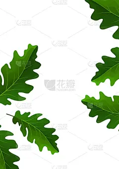 富有创意的绿色橡树叶在一个明亮的背景。模板为您的设计。向量