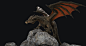 Green Dragon, Ramil Zaripov ibn_rashit