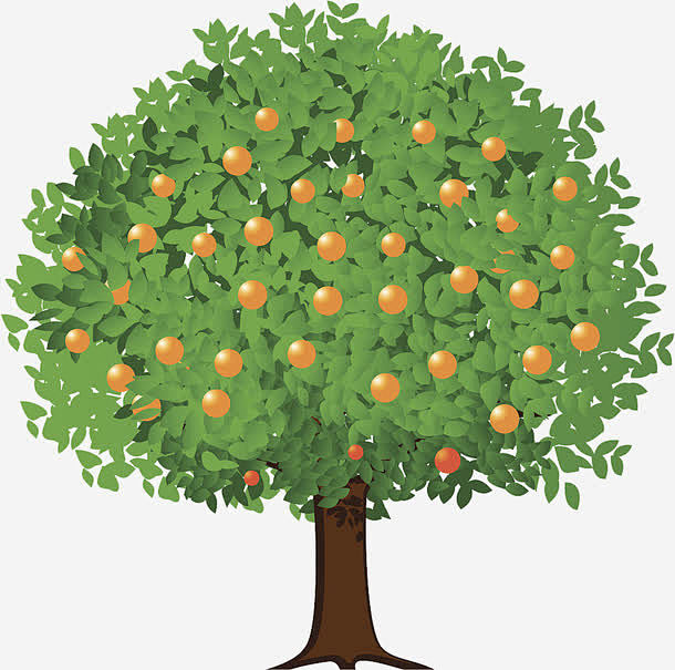 一棵树高清素材 大树 橘子 橘树 水果 ...