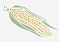 手绘卡通玉米png_新图网 https://ixintu.com 玉米 食物 果实 手绘 简图 动画 插画 装饰