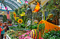 Bellagio_Conservatory_&_Botanical_Gardens_(14480862512).jpg (2048×1356)