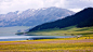 赛里木湖繁花似锦的草原仙境
每年五月底到六月中是赛里木湖风景最美的时候，山顶的积雪还没完全融化，湖畔草原上溪流潺潺，一望无际的草原繁花似锦。蓝天、白云、绿草、黄花，每一种颜色都有着那种几近原始的高纯度，即使偶有一丝瑕疵，也恰如其分地做了原色的互补。边歌边泳的天鹅、嬉戏觅食的野鸭、几匹健壮的骏马、几群如云的绵羊、几峰穿行的骆驼。在这方空灵的世界里，人、动物、大自然相处的是那样和谐，以至于，每一个来到这里的人，都会情不自禁的喊上几声，唱上一曲，从心地里萌生出对造物主神奇物化本领的崇敬。