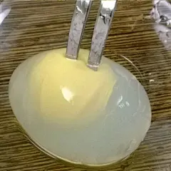 农场散养新鲜鸽子蛋顺丰包邮特产30枚农家杂粮宝宝辅食精选白鸽蛋-淘宝网