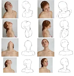 新画的头颈肩课件，画画脖子怪的拿去参考_1_TC晨-人体转角度默写_来自小红书网页版