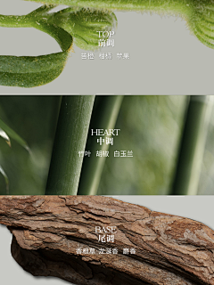 Klr0PnFX采集到新中式