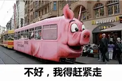 最适合做表情的20款车，你和我交朋友只是为了偷我的表情包！