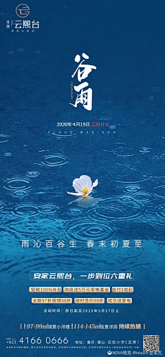 nova不是诺瓦采集到二十四节气 | 谷雨