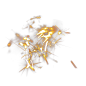 火花 (23)