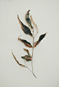 ImNotWordy.com - Get Inspired.
