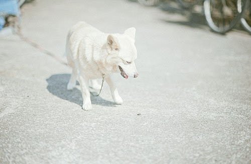 清新二月 春暖花开 