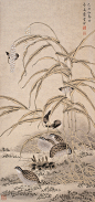 陈之佛花鸟作品