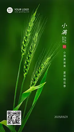 小满节气祝福问候实景手机海报