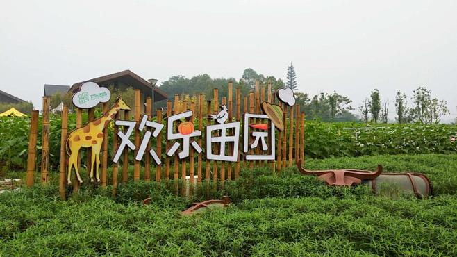 黄龙溪欢乐田园_百度图片搜索