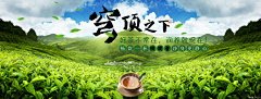 粉红玉米粒采集到茶