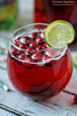 Cranberry Ginger Holiday Cocktail